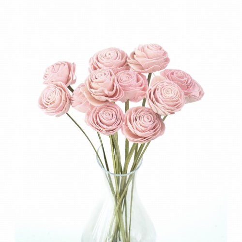 _DSC6084.webp