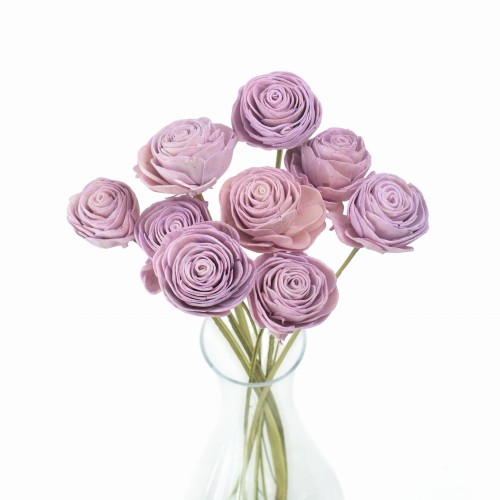 _DSC6086.webp