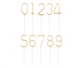 55806.jpg