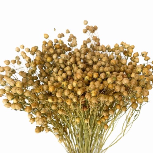 suszki-len-suszony-naturalny-peczek.jpg